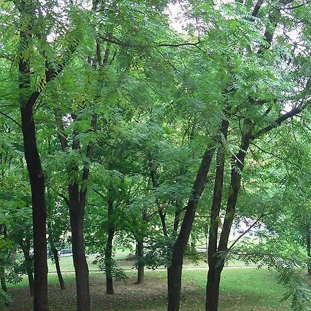 Parco Lambro Couette-café Milan