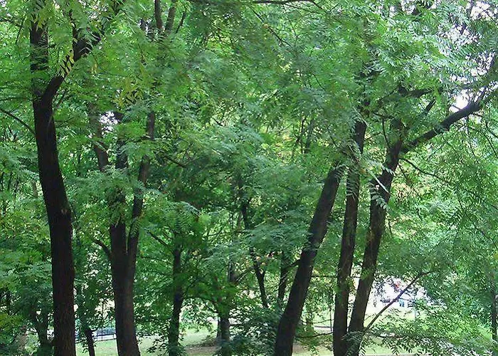 Parco Lambro Nocleg ze śniadaniem Mediolan